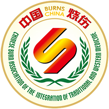 ����רҵίԱ��