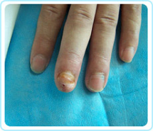 �Ϲ�NG��28(�й���)����Ʒ���������޹�˾