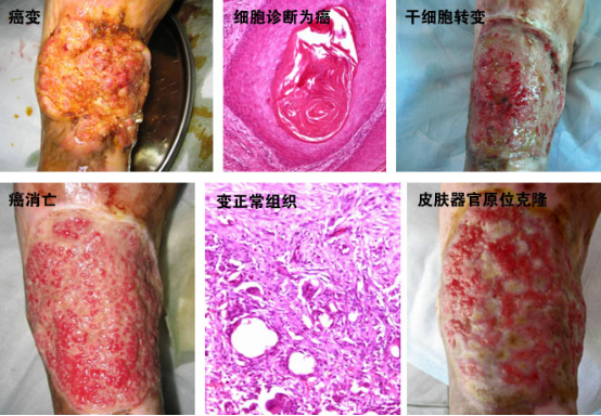 �Ϲ�NG��28(�й���)����Ʒ���������޹�˾