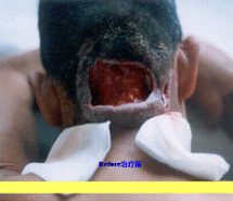 �Ϲ�NG��28(�й���)����Ʒ���������޹�˾