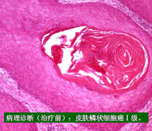 �Ϲ�NG��28(�й���)����Ʒ���������޹�˾