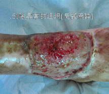 �Ϲ�NG��28(�й���)����Ʒ���������޹�˾