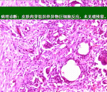 �Ϲ�NG��28(�й���)����Ʒ���������޹�˾