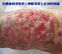 �Ϲ�NG��28(�й���)����Ʒ���������޹�˾