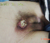 �Ϲ�NG��28(�й���)����Ʒ���������޹�˾