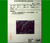 �Ϲ�NG��28(�й���)����Ʒ���������޹�˾