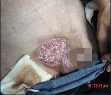 �Ϲ�NG��28(�й���)����Ʒ���������޹�˾