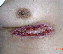 �Ϲ�NG��28(�й���)����Ʒ���������޹�˾