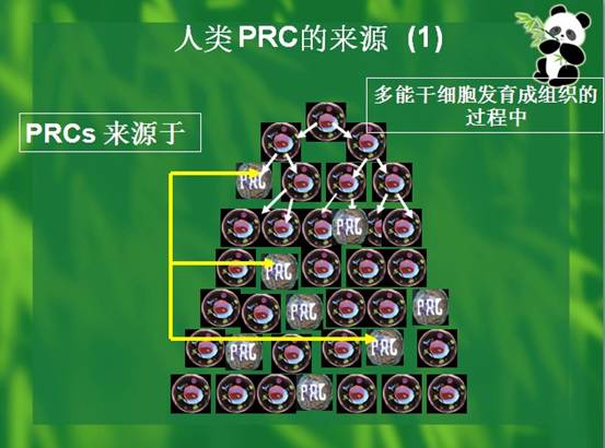 �Ϲ�NG��28(�й���)����Ʒ���������޹�˾