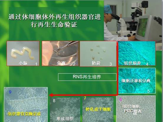 �Ϲ�NG��28(�й���)����Ʒ���������޹�˾