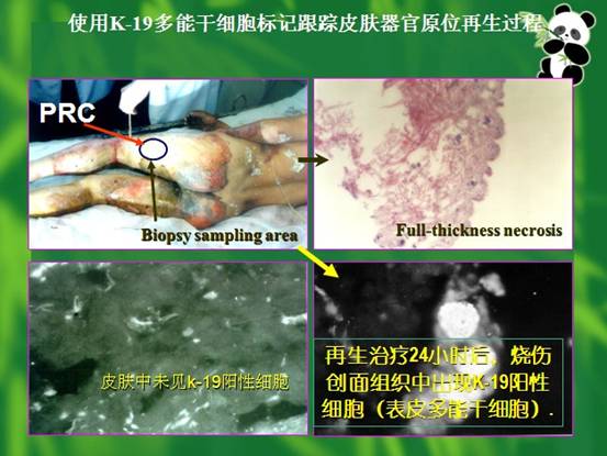 �Ϲ�NG��28(�й���)����Ʒ���������޹�˾