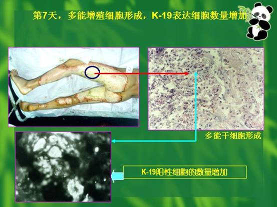 �Ϲ�NG��28(�й���)����Ʒ���������޹�˾