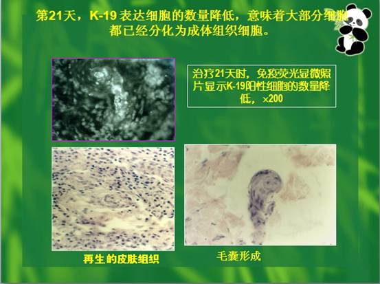 �Ϲ�NG��28(�й���)����Ʒ���������޹�˾