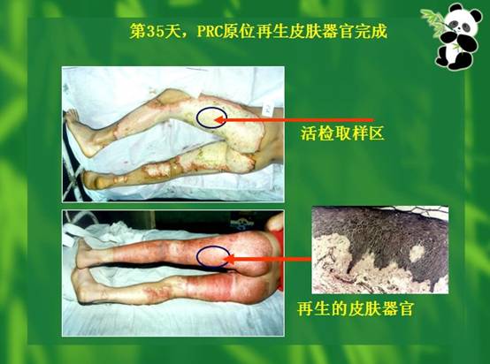 �Ϲ�NG��28(�й���)����Ʒ���������޹�˾