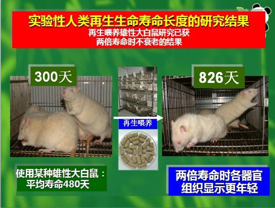 �Ϲ�NG��28(�й���)����Ʒ���������޹�˾