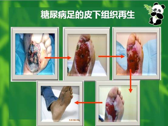 �Ϲ�NG��28(�й���)����Ʒ���������޹�˾