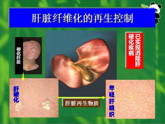 �Ϲ�NG��28(�й���)����Ʒ���������޹�˾