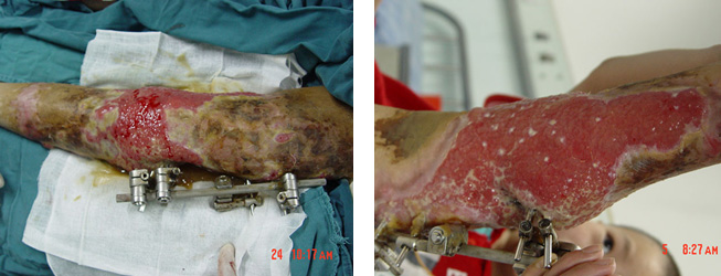 �Ϲ�NG��28(�й���)����Ʒ���������޹�˾