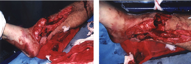 �Ϲ�NG��28(�й���)����Ʒ���������޹�˾