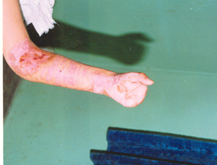 �Ϲ�NG��28(�й���)����Ʒ���������޹�˾