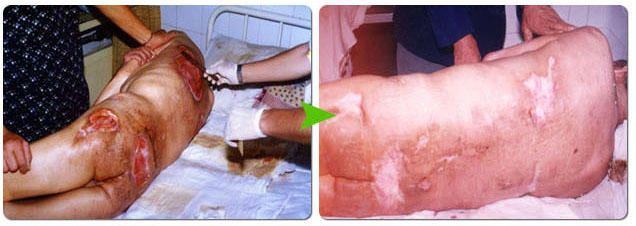 �Ϲ�NG��28(�й���)����Ʒ���������޹�˾