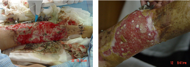 �Ϲ�NG��28(�й���)����Ʒ���������޹�˾