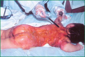 �Ϲ�NG��28(�й���)����Ʒ���������޹�˾