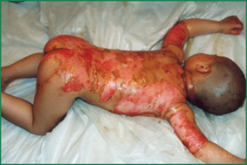 �Ϲ�NG��28(�й���)����Ʒ���������޹�˾