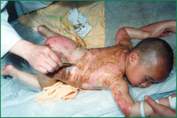 �Ϲ�NG��28(�й���)����Ʒ���������޹�˾