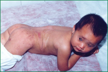 �Ϲ�NG��28(�й���)����Ʒ���������޹�˾