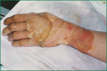 �Ϲ�NG��28(�й���)����Ʒ���������޹�˾