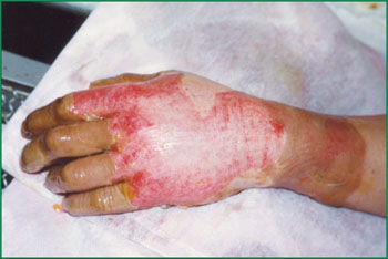 �Ϲ�NG��28(�й���)����Ʒ���������޹�˾