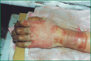 �Ϲ�NG��28(�й���)����Ʒ���������޹�˾