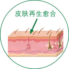 �Ϲ�NG��28(�й���)����Ʒ���������޹�˾