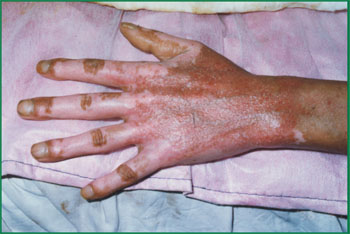 �Ϲ�NG��28(�й���)����Ʒ���������޹�˾