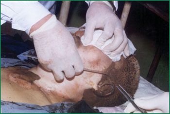 �Ϲ�NG��28(�й���)����Ʒ���������޹�˾