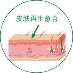 �Ϲ�NG��28(�й���)����Ʒ���������޹�˾