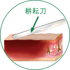 �Ϲ�NG��28(�й���)����Ʒ���������޹�˾