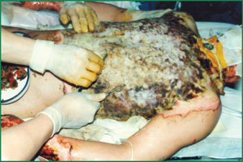 �Ϲ�NG��28(�й���)����Ʒ���������޹�˾