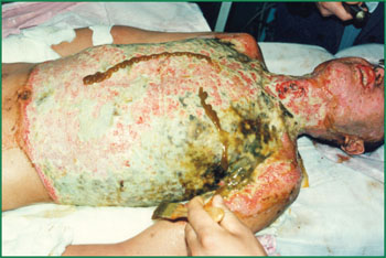 �Ϲ�NG��28(�й���)����Ʒ���������޹�˾