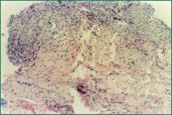 �Ϲ�NG��28(�й���)����Ʒ���������޹�˾