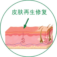 �Ϲ�NG��28(�й���)����Ʒ���������޹�˾