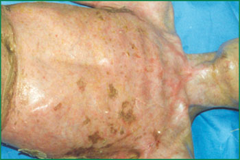 �Ϲ�NG��28(�й���)����Ʒ���������޹�˾