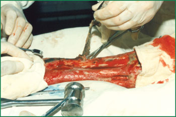 �Ϲ�NG��28(�й���)����Ʒ���������޹�˾