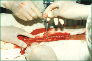 �Ϲ�NG��28(�й���)����Ʒ���������޹�˾