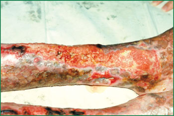 �Ϲ�NG��28(�й���)����Ʒ���������޹�˾