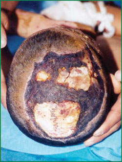 �Ϲ�NG��28(�й���)����Ʒ���������޹�˾