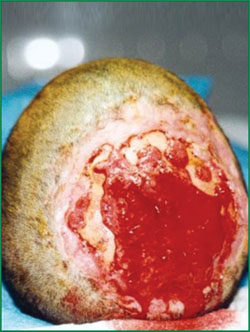 �Ϲ�NG��28(�й���)����Ʒ���������޹�˾