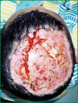 �Ϲ�NG��28(�й���)����Ʒ���������޹�˾