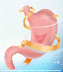 �Ϲ�NG��28(�й���)����Ʒ���������޹�˾